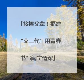 接棒父辈！福建“支二代”用青春书写闽宁情深